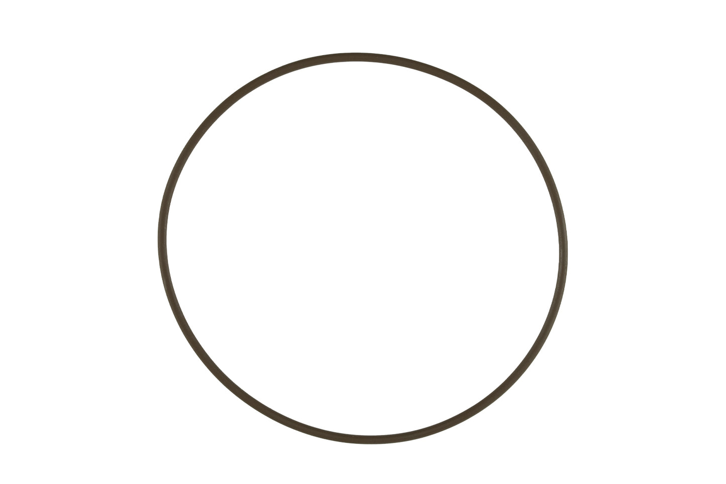 WG60 Actuator Cap O-Ring