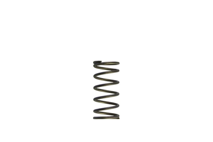 WG60 Gen-V 5psi Inner spring - Purple