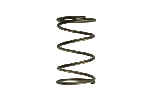 WG60 Gen-V 14psi outer spring - Brown