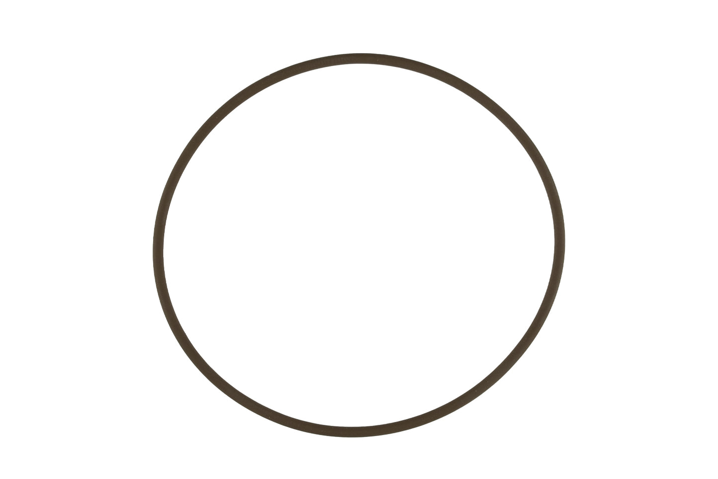 WG45/50 Actuator Cap O-Ring