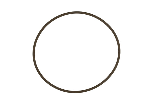 WG45/50 Actuator Cap O-Ring